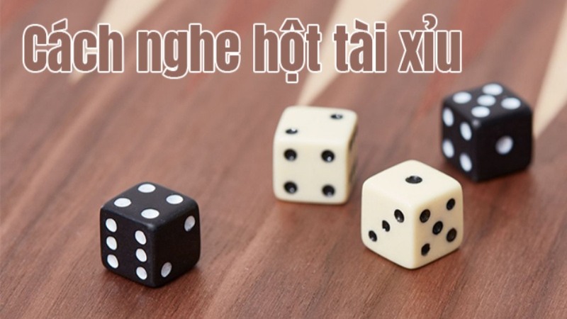 Hột tài xỉu là gì?